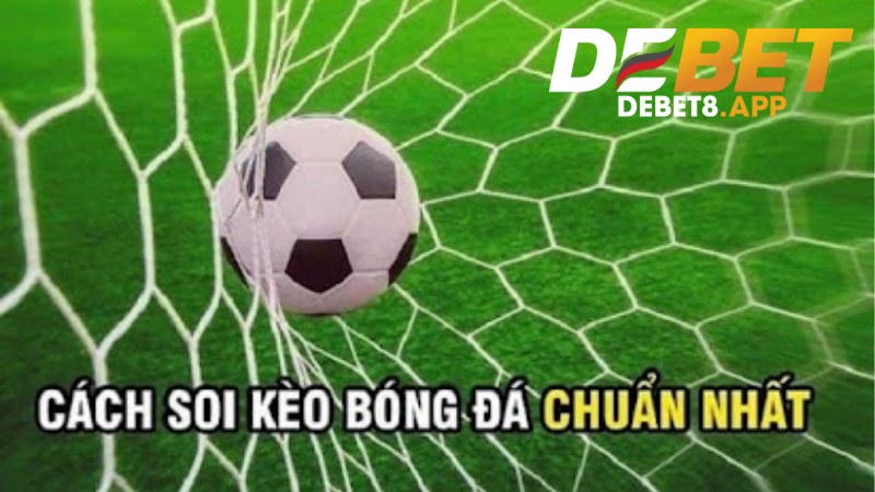 Sảnh P – Sports | Khám Phá Sảnh Cá Cược Thể Thao Cùng Debet 2 Sảnh K – Sports